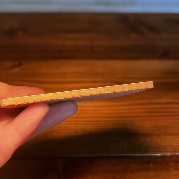 Harvard Collegiate Bus 'Road'eo" and highlights its 100% electric Coaster 2025 - Picture 2 of 3